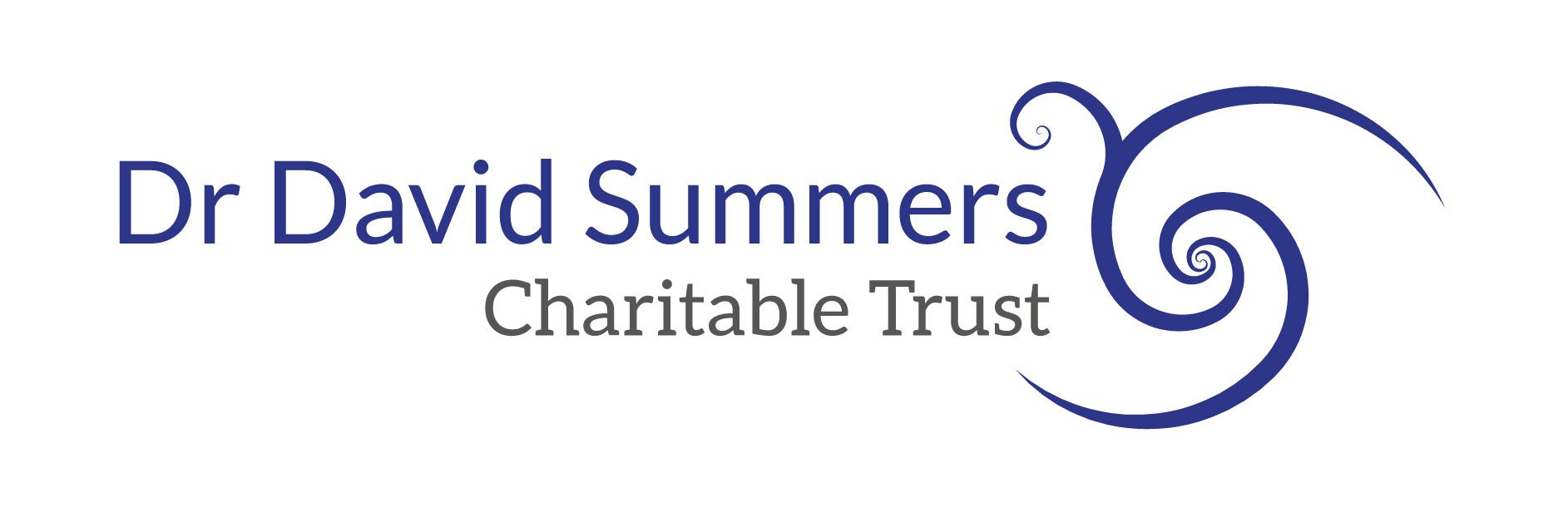 Dr David Summers Logo