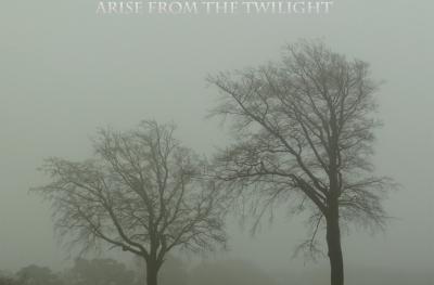 Album cover for Arise from the Twilight showing two leafless trees surrounded by mist