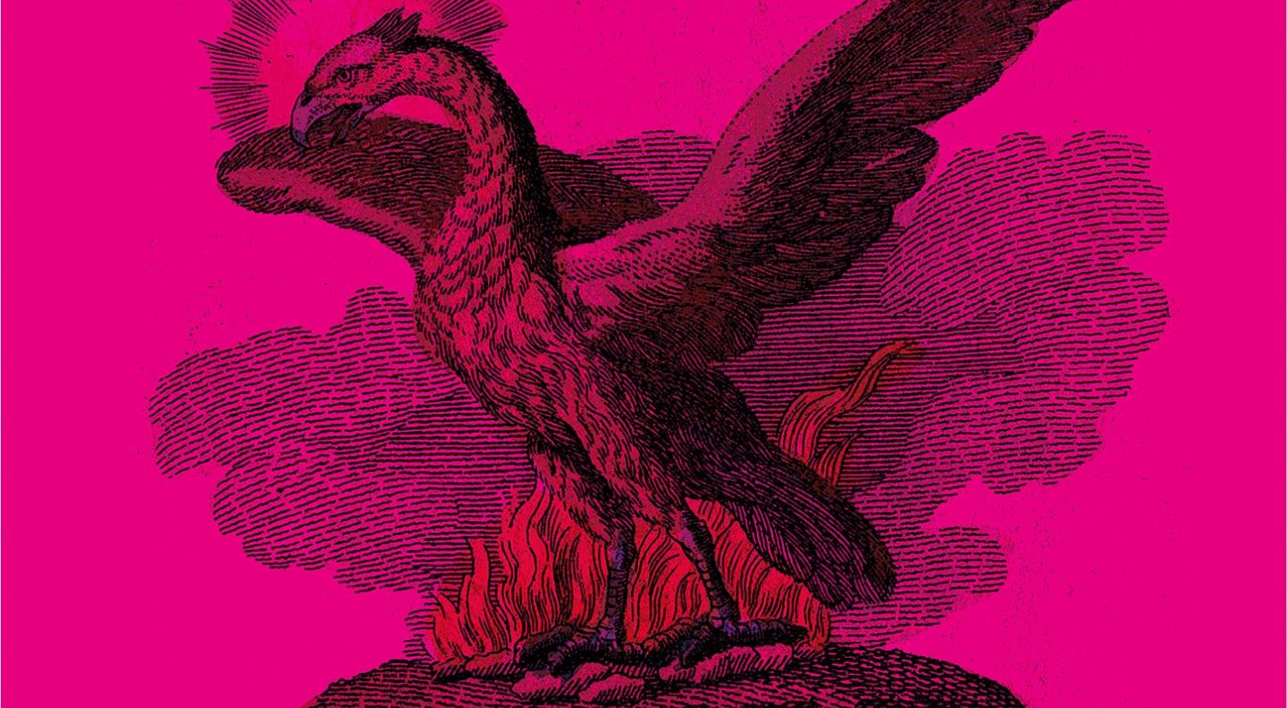 An old fashioned looking line drawing of a bird on a vivid pink background