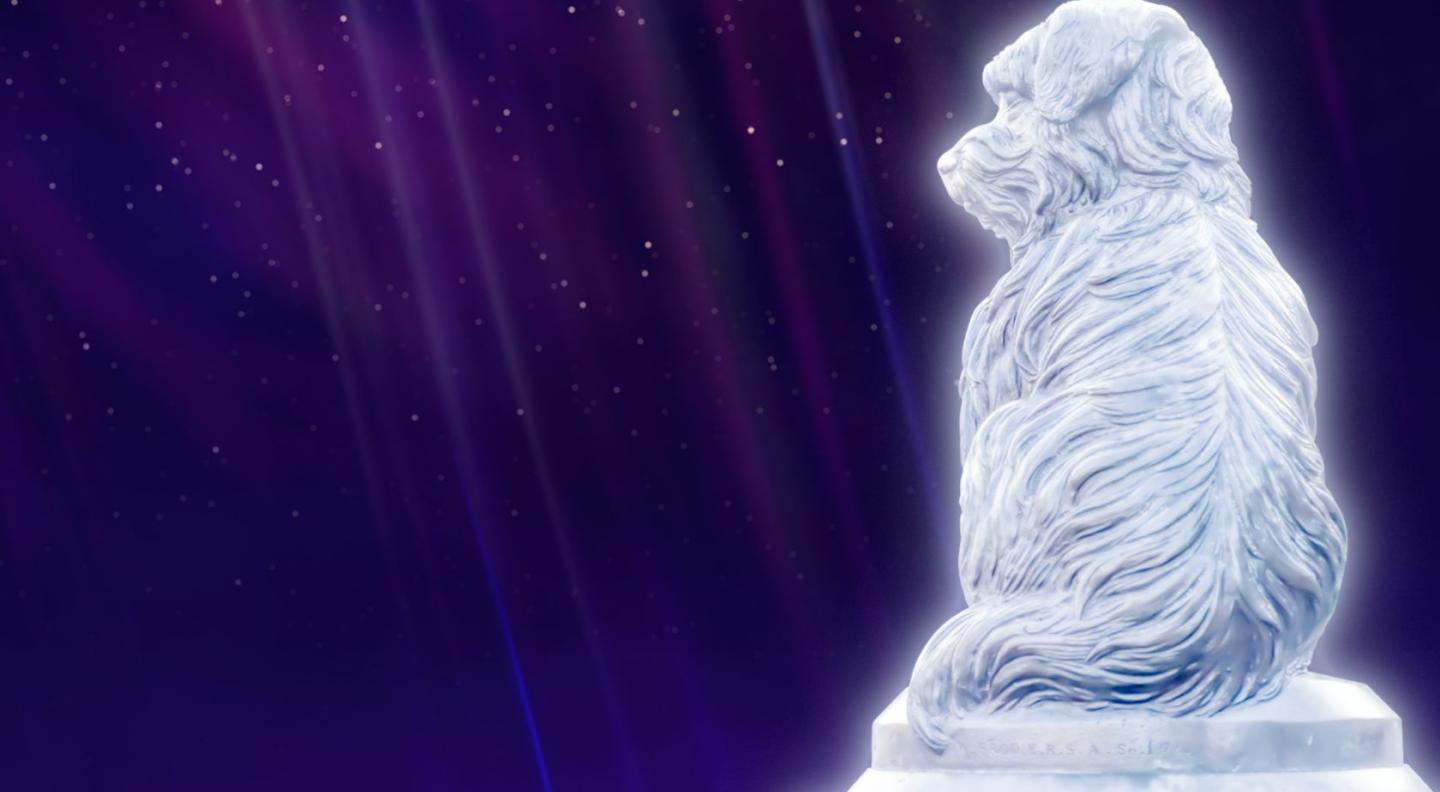 A purple background with an image of the Greyfriars Bobby statue in white on the right hand side