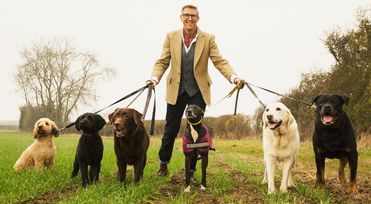 Graeme Hall stands in a park with 6 dogs of various breeds, colours and sizes on separate leads