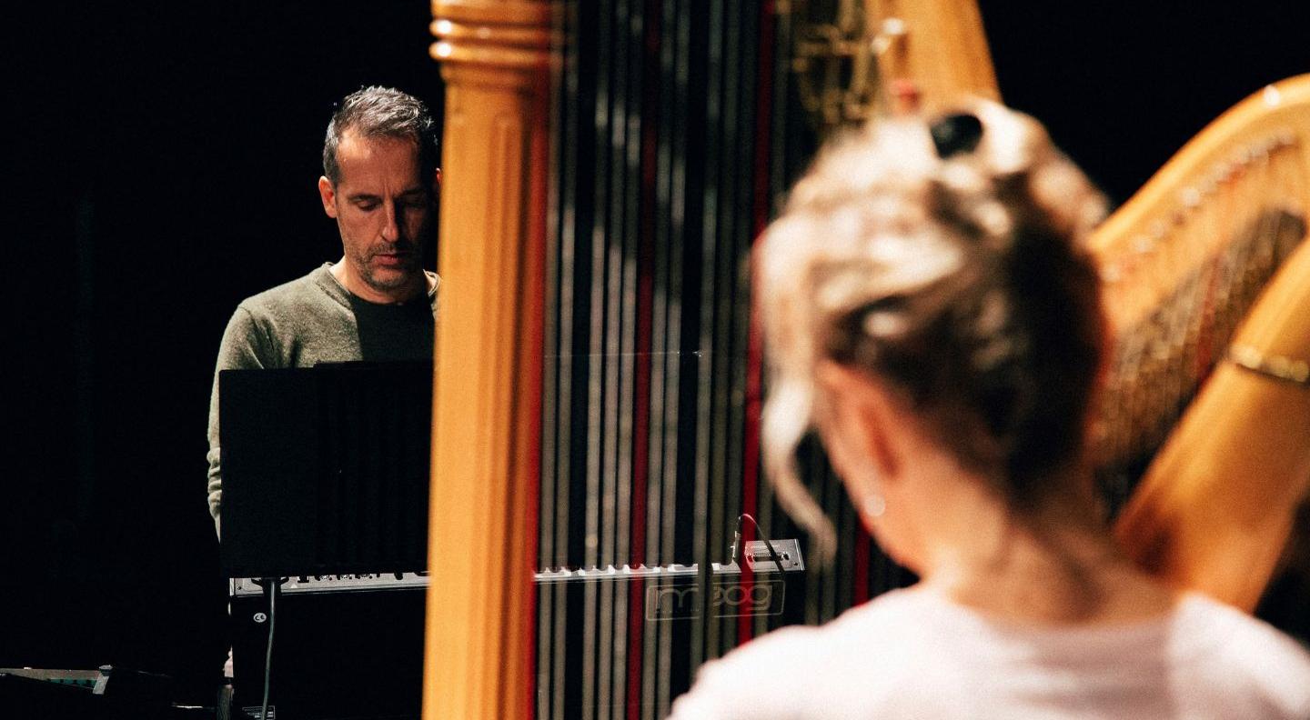 An image of a man facing the camera and the back of a woman's head in the foreground. Both play harps.