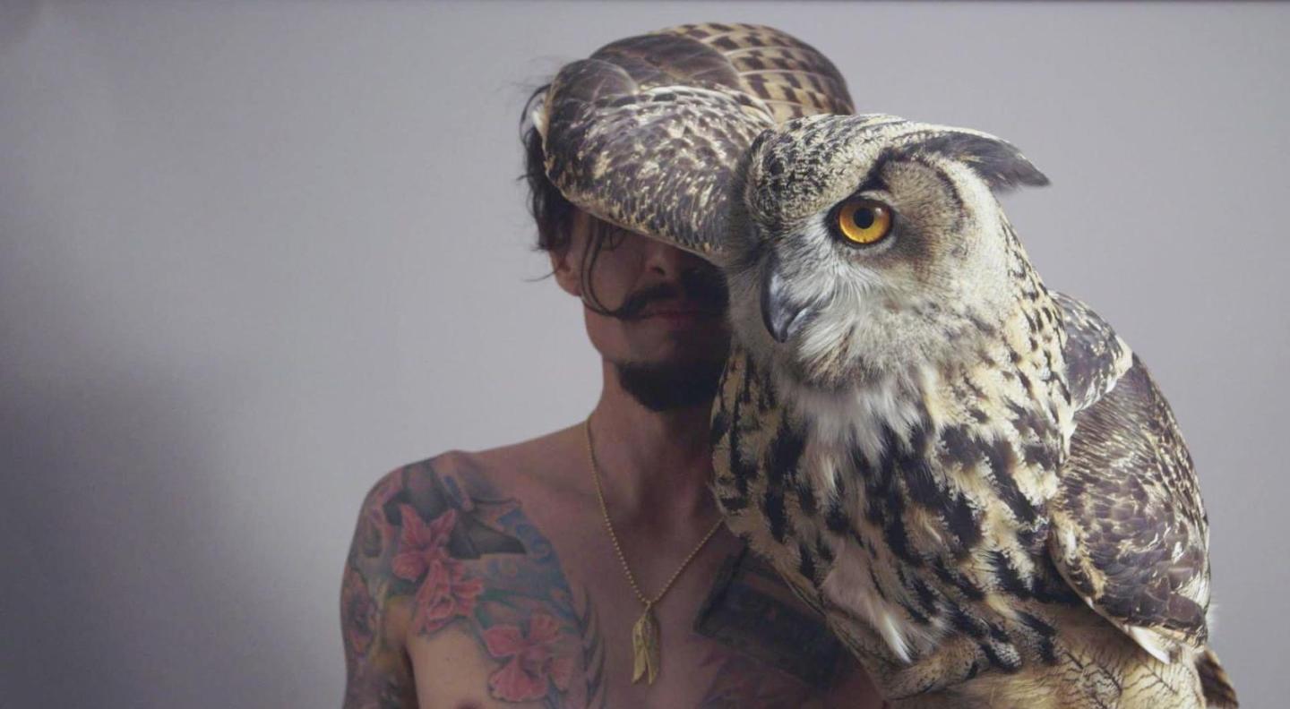 Justin Hawkins standing in front of a grey background. Justin is holding an owl, which has one wing outstretched, covering the top half of Justin's face