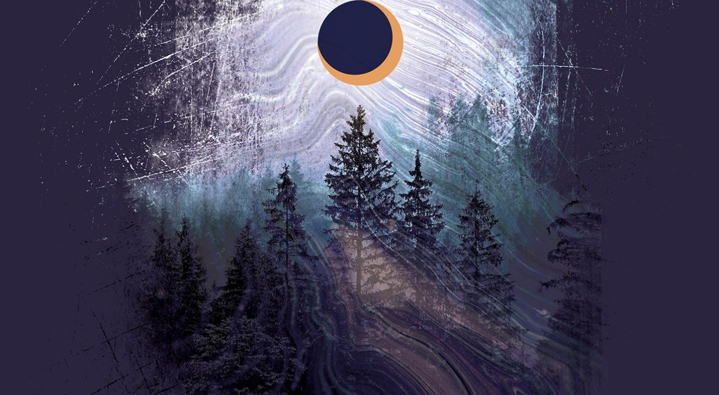 An illustration of a pine forest at night, with a crescent moon in the sky which lights up the trees in silhouette