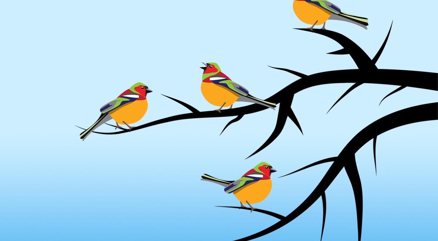 Four birds perch on a branch